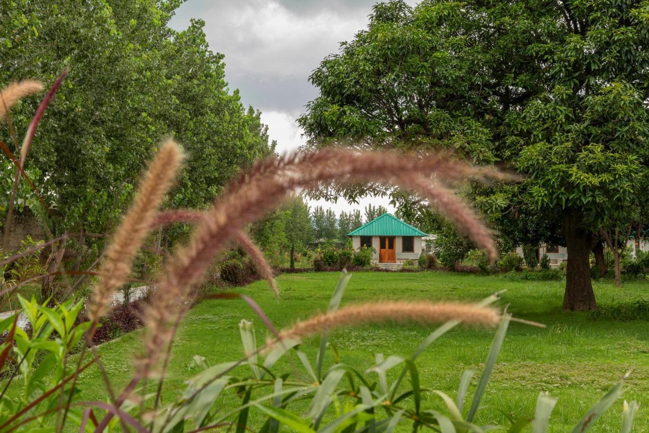 Zana Luxury Forest Resort, Ranthambore Sawai Madhopur Luaran gambar
