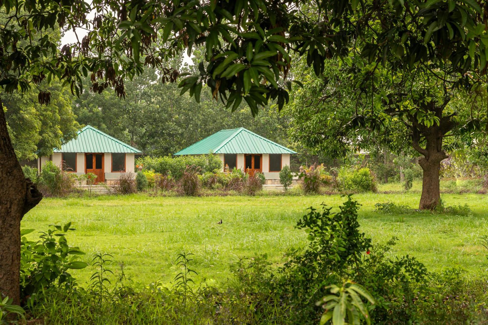 Zana Luxury Forest Resort, Ranthambore Sawai Madhopur Luaran gambar
